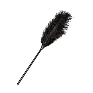 Sex toys single ostrich flirting feather. Sex toys. Adult products manufacturer