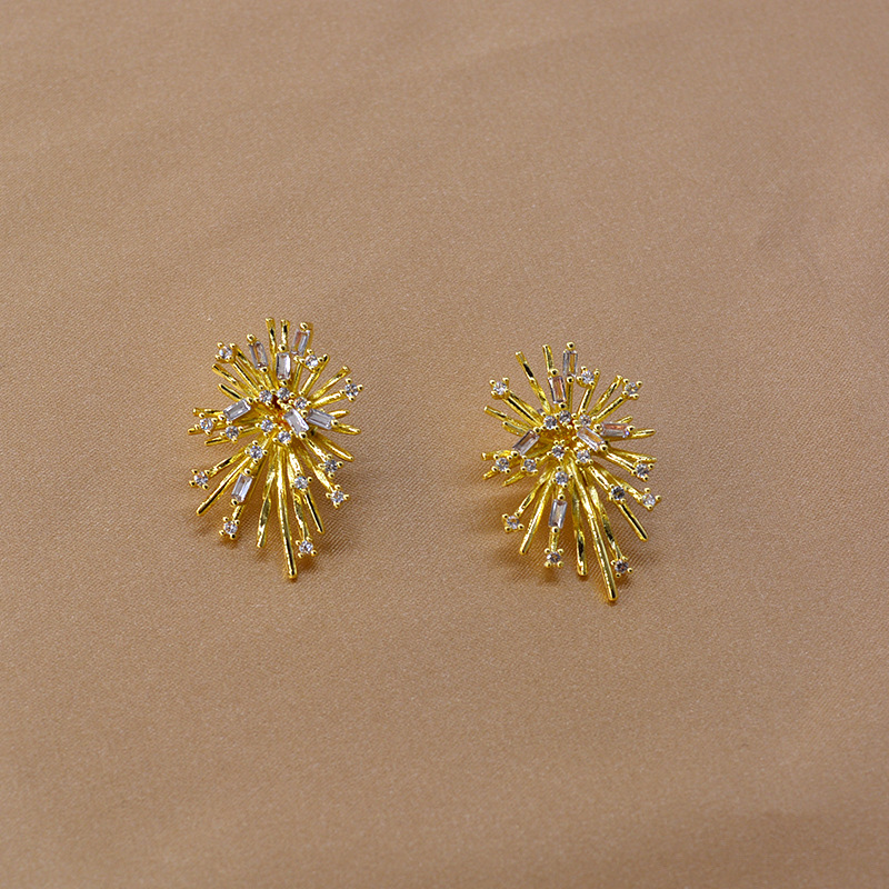 Firework Blasting Zircon Micro-set Earrings New Tide Earrings Women display picture 4