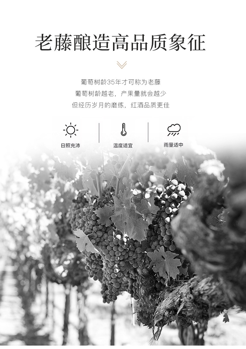 红酒-详(1)_07.jpg