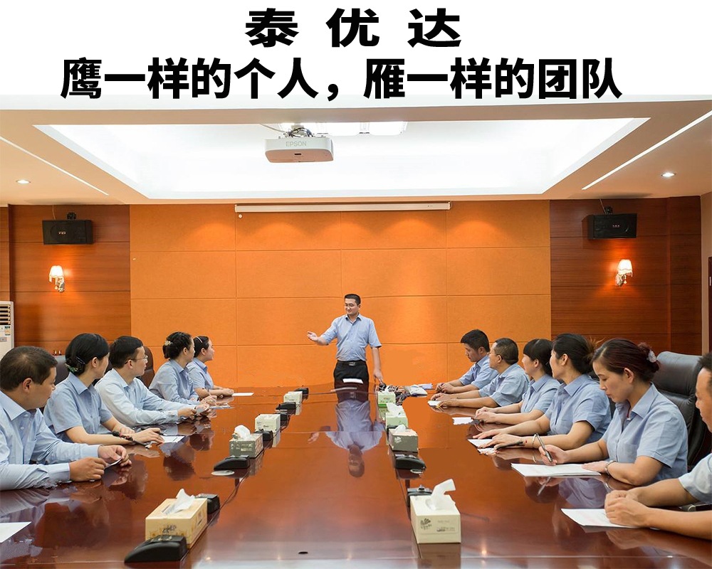 泰优达 鹰一样的个人