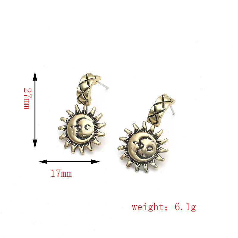 Fashion Simple Punk Style Metal Earrings display picture 1