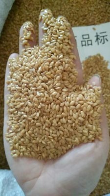 金亞麻籽榨油坊用廠家直銷25kg壹件2件包郵