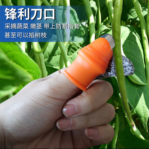 农易摘花椒掐尖器摘菜铁指甲掐葡萄尖刀草莓摘豆角 采摘器 拇指刀