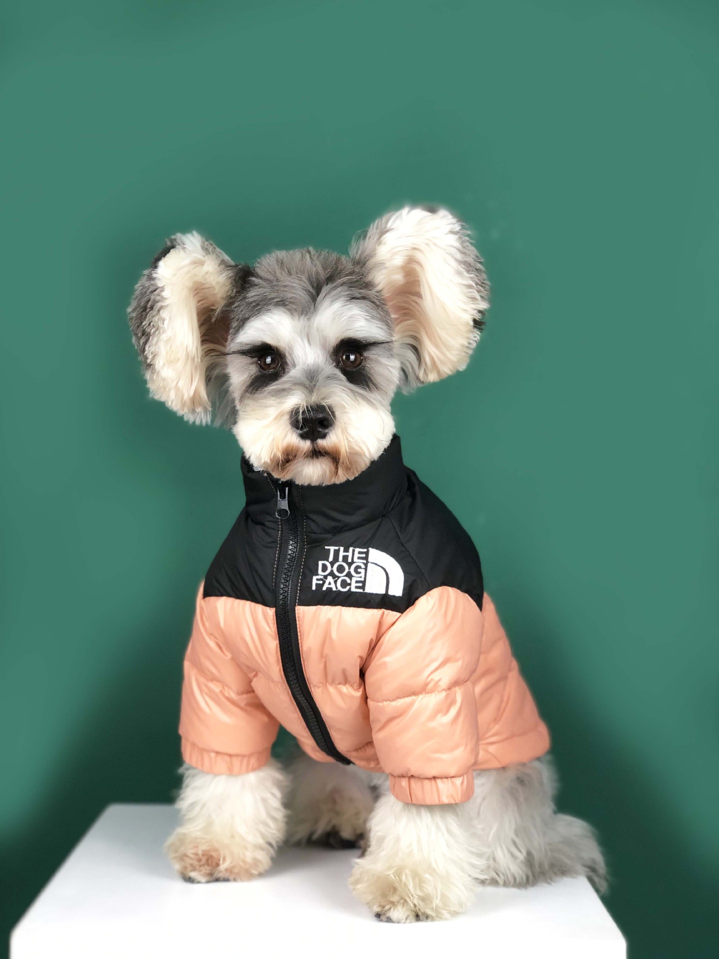 WeChat picture_20201209213638