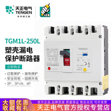 天正 TGM1L-250L/4300B 250A漏電保護空氣開關塑殼斷路器200A160A