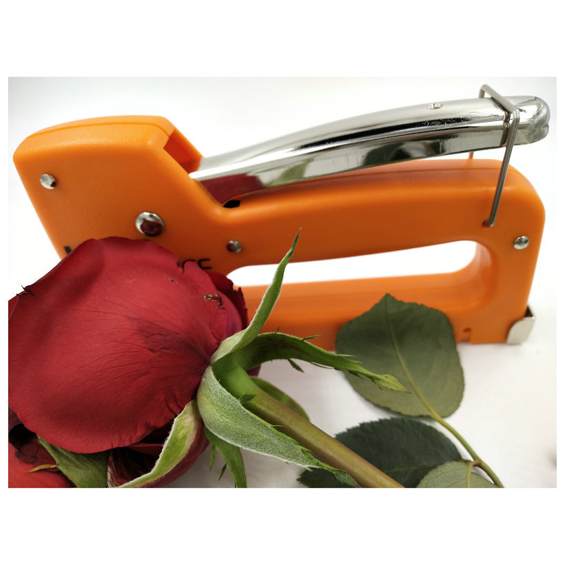 B813F3AAC494F860EB8AB26836EBA1