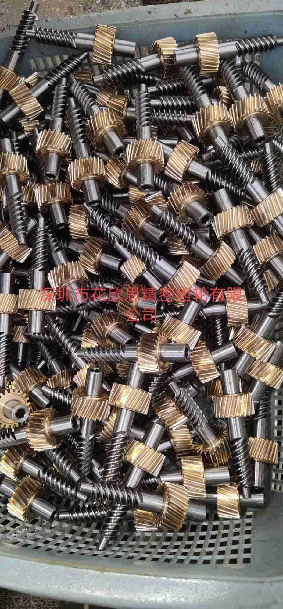 工厂定做汽车升降机齿轮 雪佛兰齿轮配件 铜齿轮 蜗杆