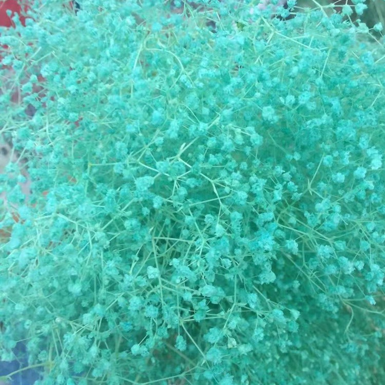 微信图片_20200128222358