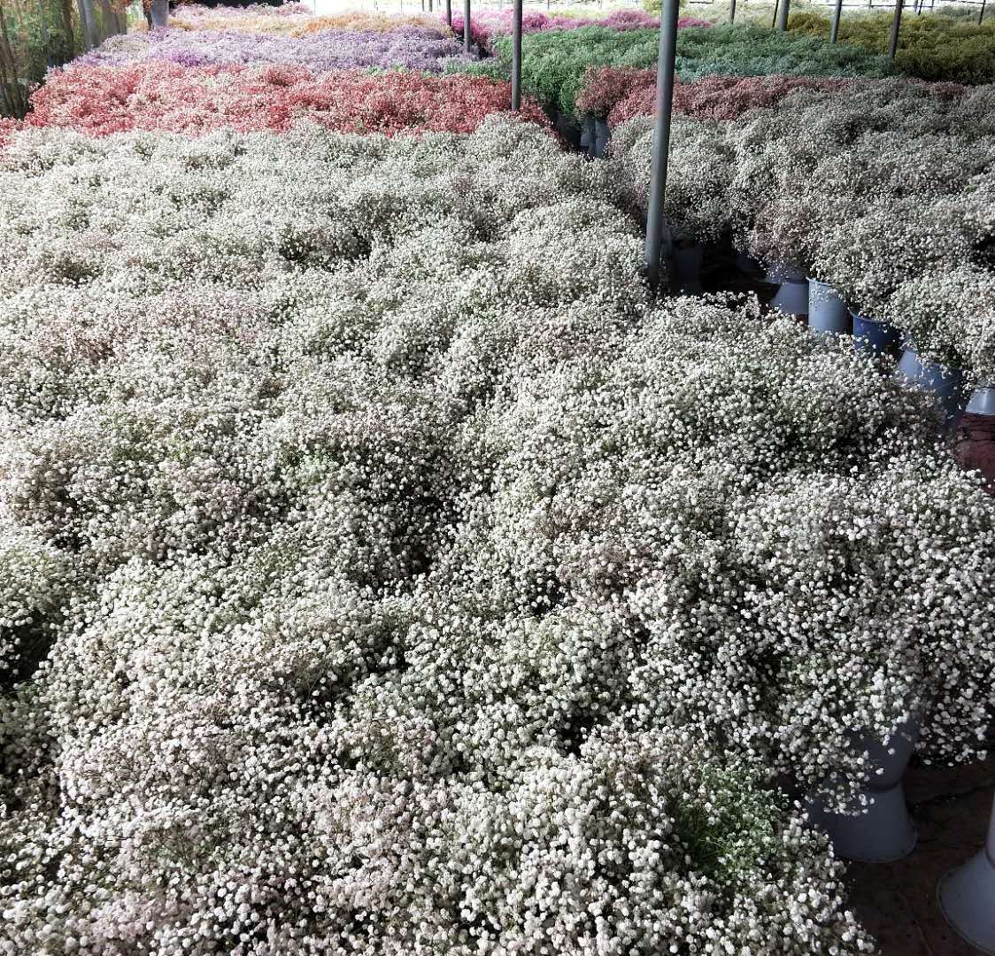 微信图片_20201021094706