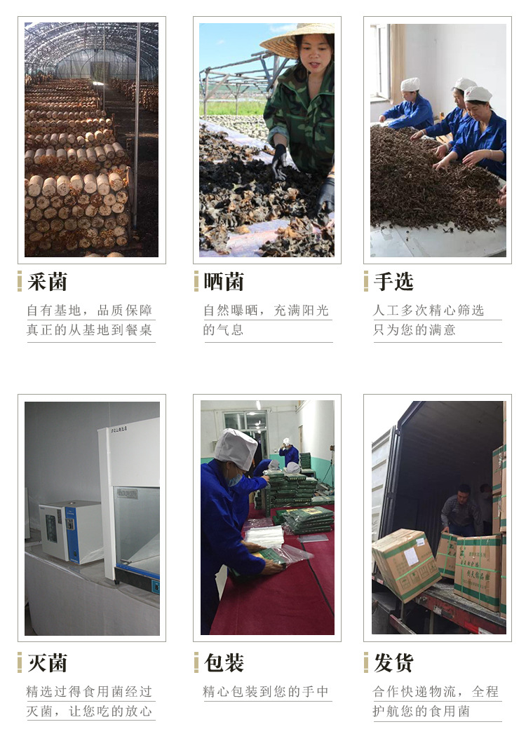 山水-有机秋木耳_08