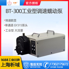 上海青浦滬西BT-300工業型調速恆流泵單通道數顯恆流泵