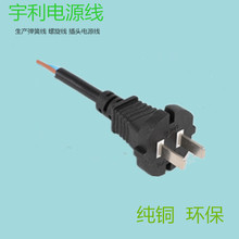 中标插头二极电源插头 铜制吸尘器专用插头 电动工具专用电源线