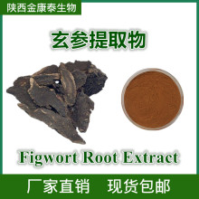 玄参提取物 10:1 20:1 元参/黑参提取物 Figwort Root Extract