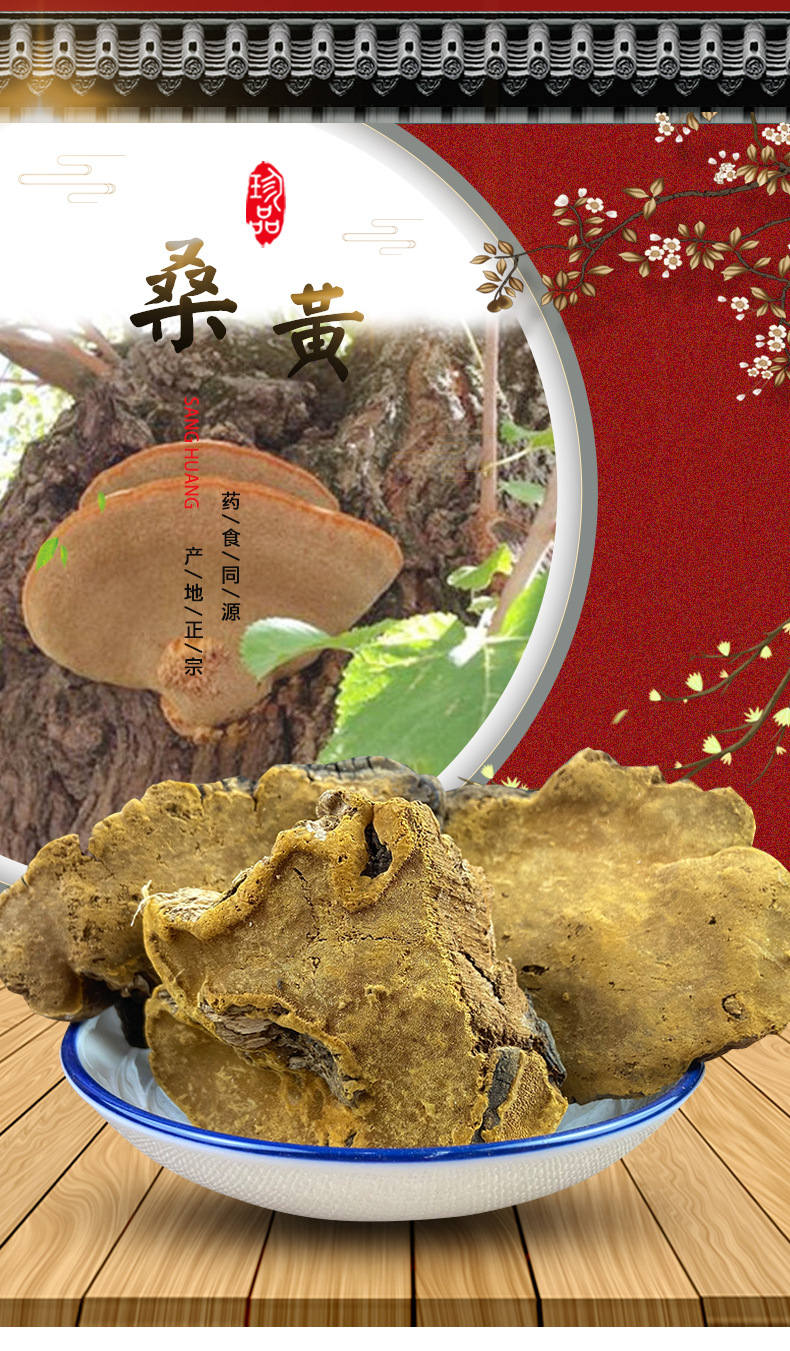 Sang Huang Mulberry Yellow Fungus Dried Slices 500g Traditional Herbal Decoction Ingredient overview