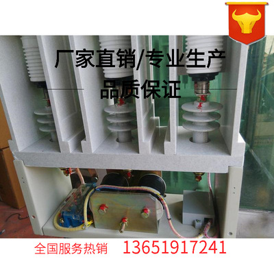 交流高压接触器CKG4E-160.250.400.630 800/12高压真空接触器厂家|ru