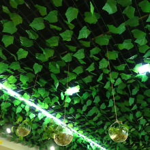 ����G�}���~�Ӽٻ��ٗl�҃ȵ���b��{ˮ�ܵ����ϾGֲ�p�@�ړ�