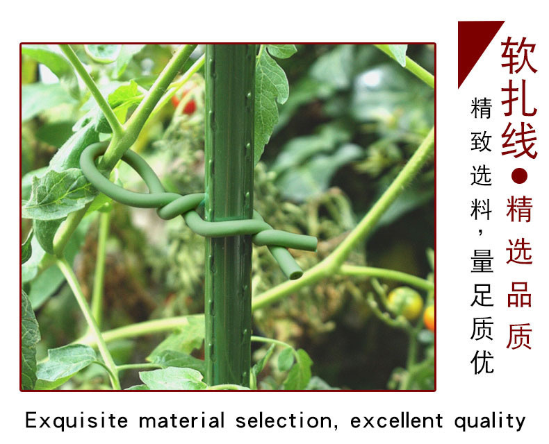 IMG_2750(20200622-094719)