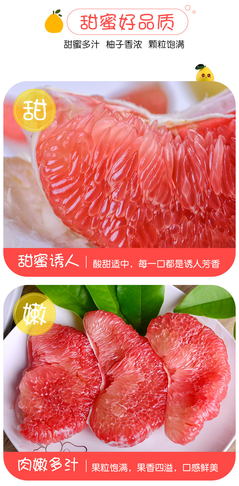 红心蜜柚_04.jpg