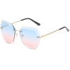 Fashionable retro metal trend sunglasses, European style