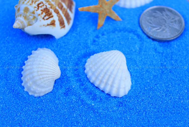 Decoración de micro paisaje de musgo, concha de arena azul fina, caracol, suculentas, decoración de jardinería