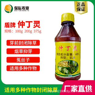 棉花苗圖片 海量高清棉花苗圖片大全 阿里巴巴