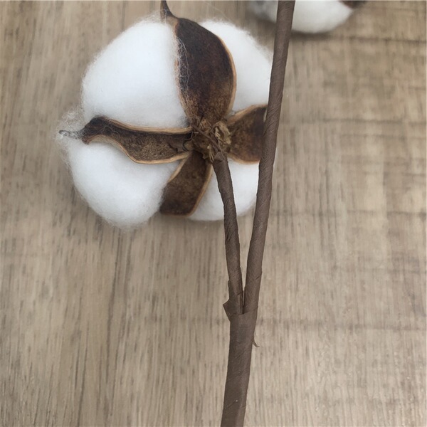 Eternal cotton dried flower art 6 single branches of simulation…