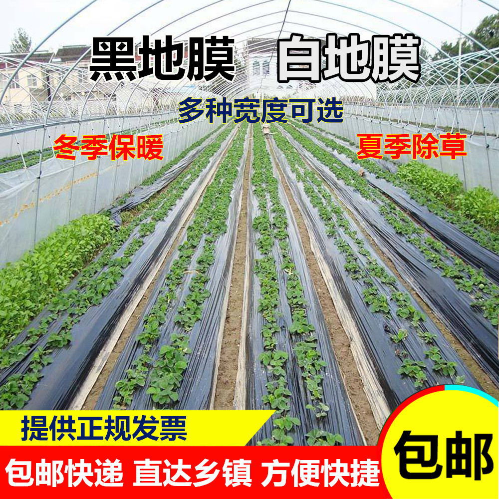 Black film Film Plastic film Black Film Black film Agricultural film Big films Vegetables Cover film Membrane