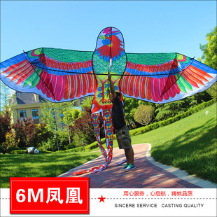 6���P�� �����P���L�~ 6�׳��������L�~