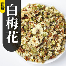 散装白梅花批发 绿萼梅花新货厂家批发白梅花茶统货量大从优