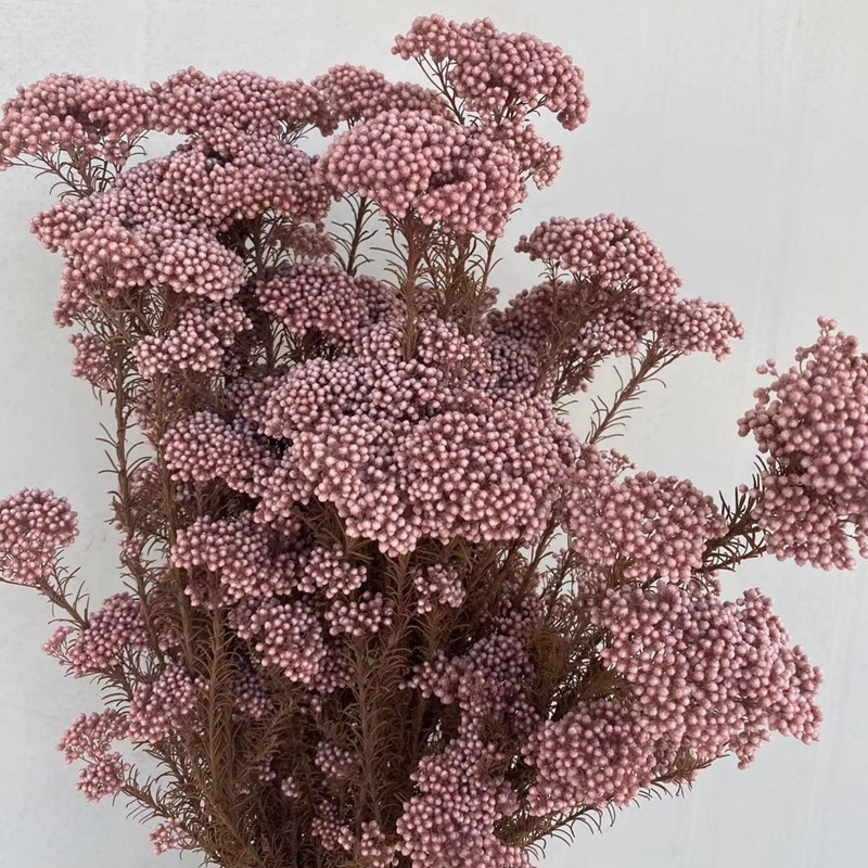 微信图片_20200408183320