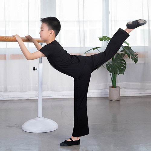 Children's dance clothing men's spring and summer new long and short sleeve Latin dance practice clothing Chinese dance body performance clothing basic training clothing