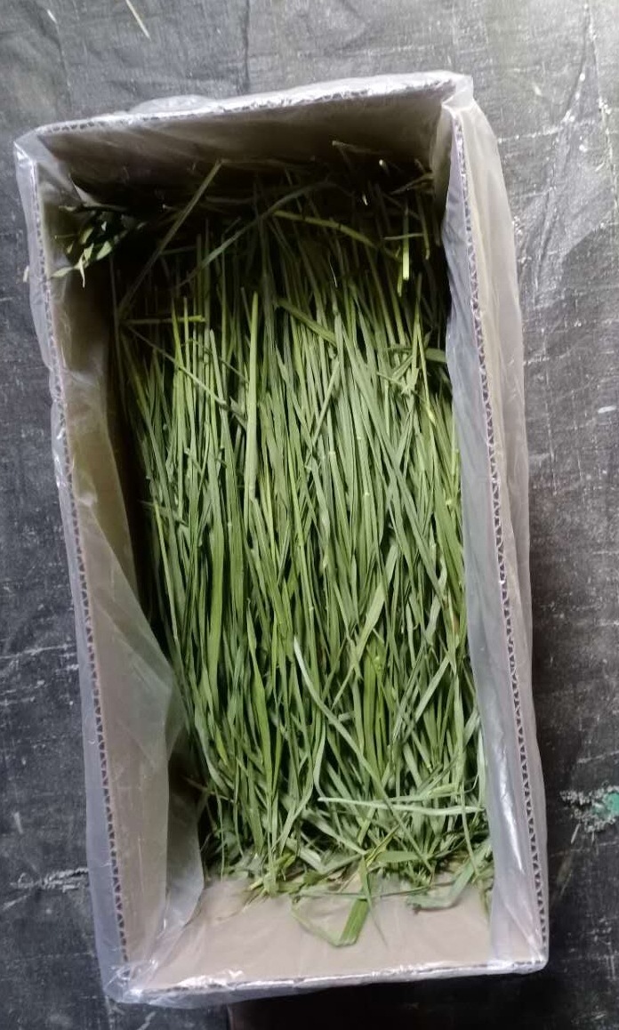 mmexport1586660076780