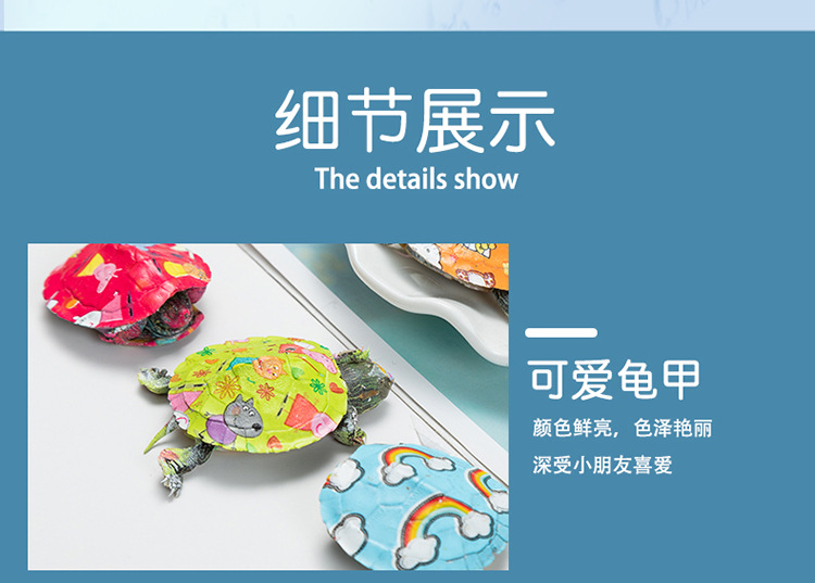 乌龟_07