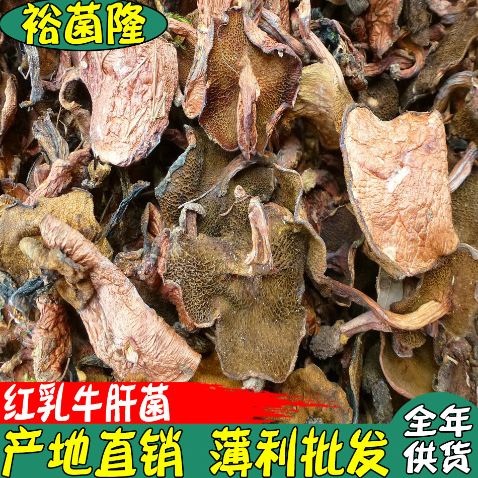【裕菌隆】红乳牛肝菌乳牛肝干品火锅熬汤菌产地干菌批发云南野生