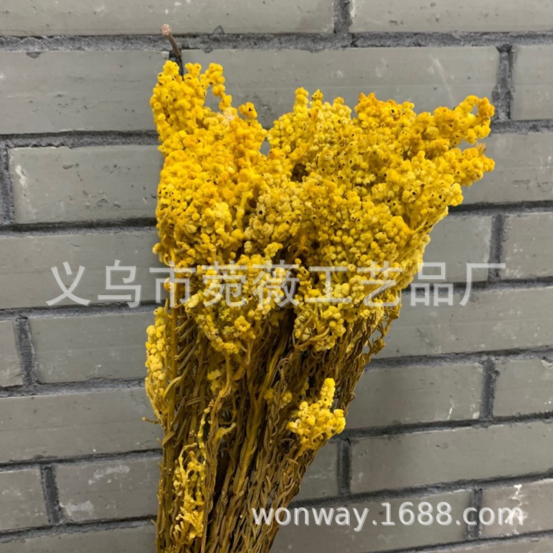 微信图片_20200503143252