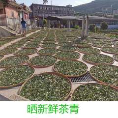 Tieguanyin Tea Wholesale, Loose Packaging, 2500g (5 lbs) – Authentic Oolong Tea from Fujian Manufacturer, Direct Supply, Affordable Pricing for Large Quantities