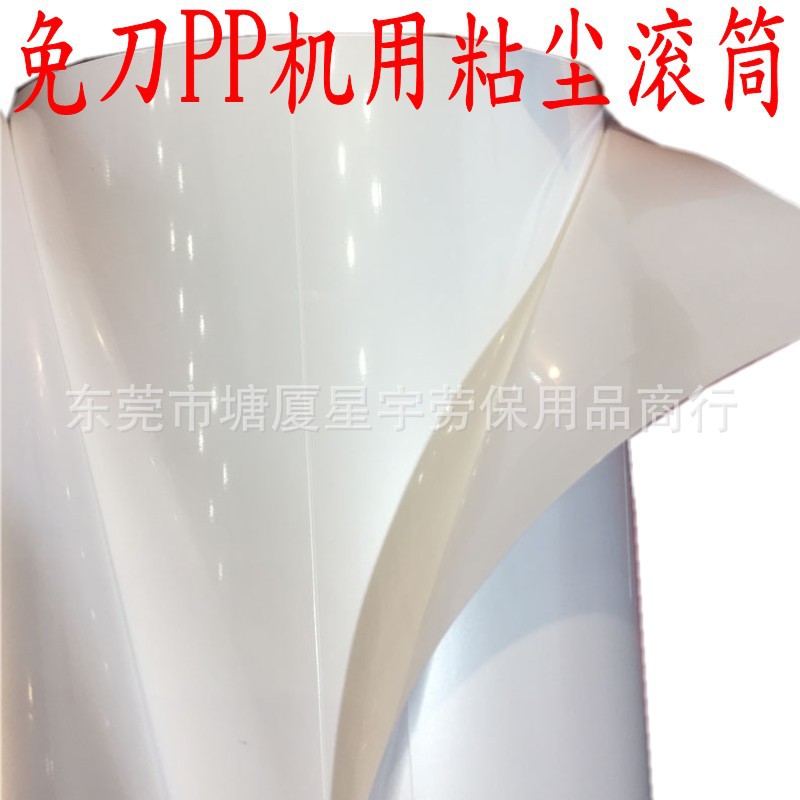 12788795448_177836000_conew1