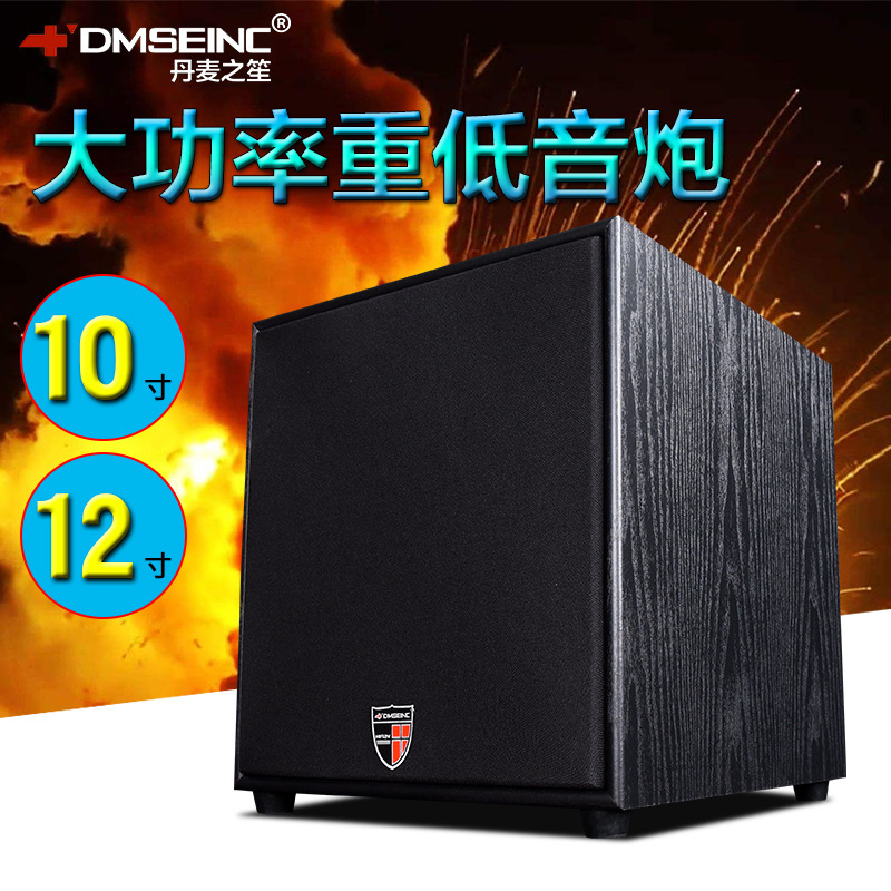 Dmseinc Danish Sheng 10inch 12inch Active Subwoofer Speaker 5.1 Home Theater Bookshelf Audio
