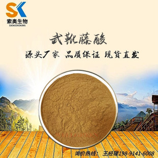 ��ѥ���� �׸����� 25% ���󃞻� �F؛���]