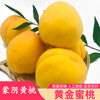 山东蒙阴现摘新鲜桃子多汁黄毛桃3斤5斤包邮大黄金蜜桃好吃甜黄桃
