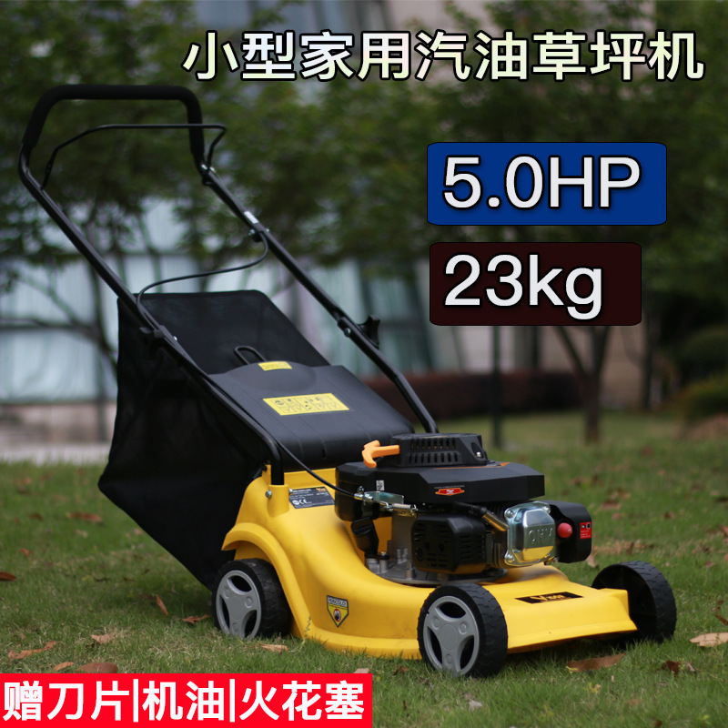 斯特克四冲程汽油草坪机手推式割草机器除草小型家用园林打草机械