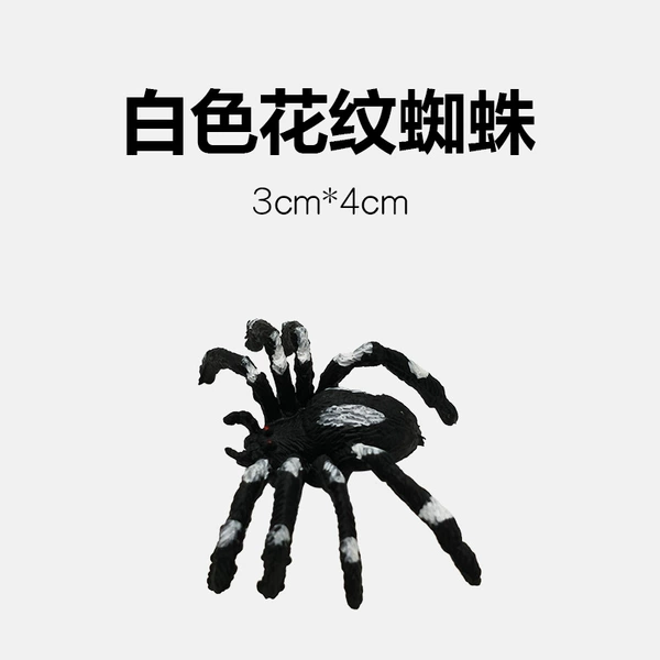 White flower stripe spider
