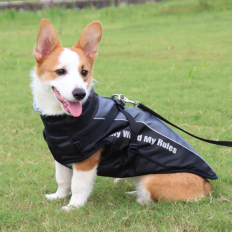 Großhandelszubehör Haustier Im Freien Plus Baumwollhundekleidung Nihaojewelry display picture 7