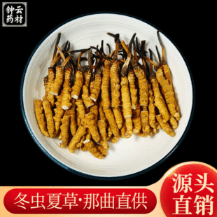 Тибетские cordyceps cordyceps cordyceps Summer Cordycene оптом