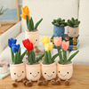Generation network lovely simulation tulips Succulent Small flowers Home Decoration Bouquet of flowers girl doll