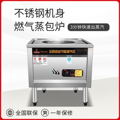 正腾燃气蒸汽炉蒸包炉蒸馒头机蒸肠粉机节能燃气蒸炉蒸馒头机