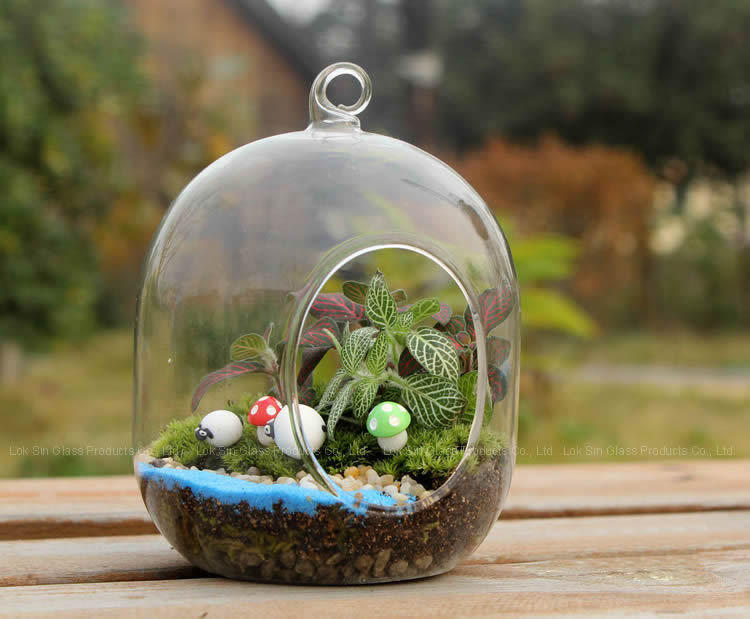 Musgo micro paisaje florero de cristal creativo mini planta DIY olla decoración de la Oficina planta suculenta florero