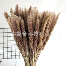 ��Ȼ�L���滨С�JȔ�ɻ���Ȼɫԭɫ�S�����l��@�L�������b�