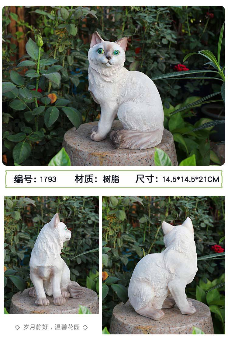 猫咪_10.jpg