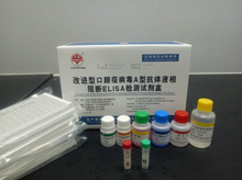 改进型口蹄疫病毒A型抗体液相阻断ELISA检测试剂盒